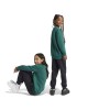 ADIDAS ESSENTIALS BIG LOGO FLEECE TRACKSUIT BLACK AND GREEN FOR BOYS AND GIRLS SET KIDS ΠΑΙΔΙΚΟ ΣΕΤ ΦΟΡΜΑ-IX9519